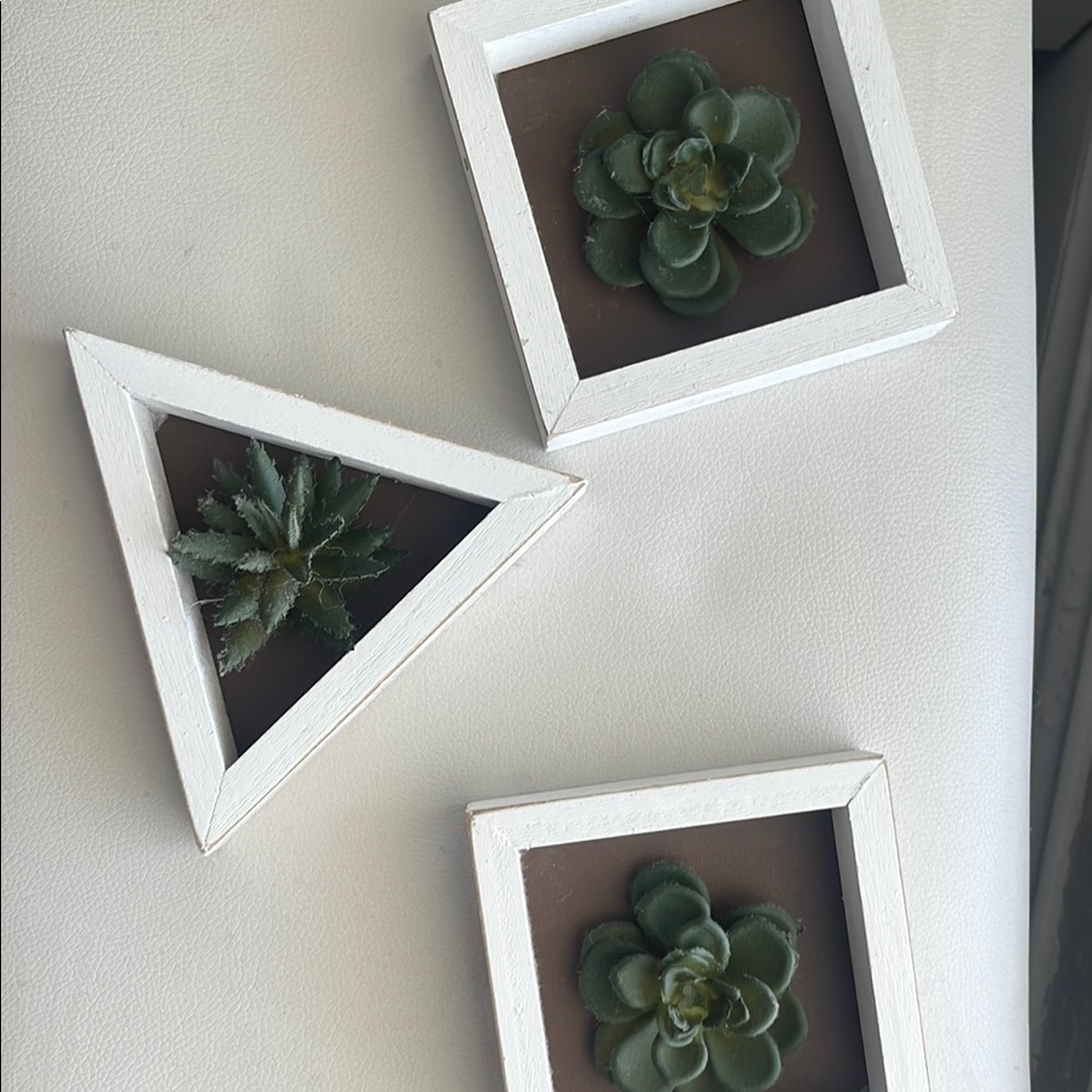 Set of Geometric Succulent Wall Decor